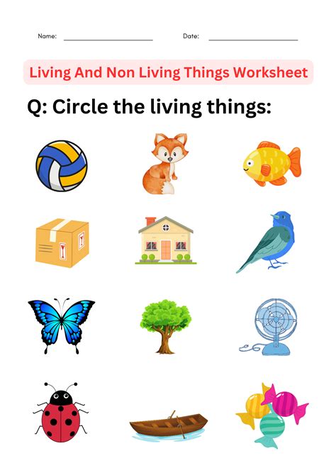 Grade K:Living & Nonliving Things .